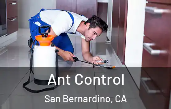 Ant Control San Bernardino, CA