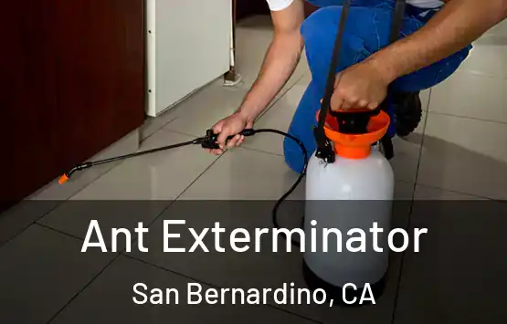  Ant Exterminator San Bernardino, CA