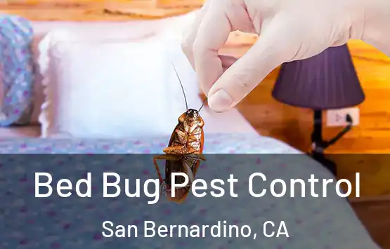 Bed Bug Pest Control San Bernardino, CA