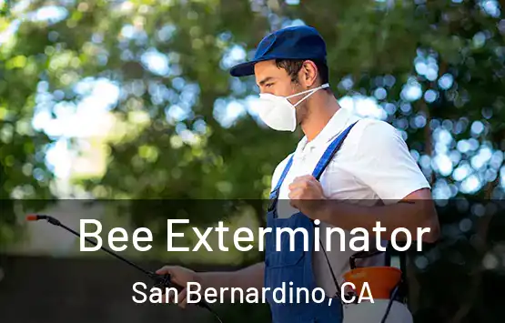  Bee Exterminator San Bernardino, CA