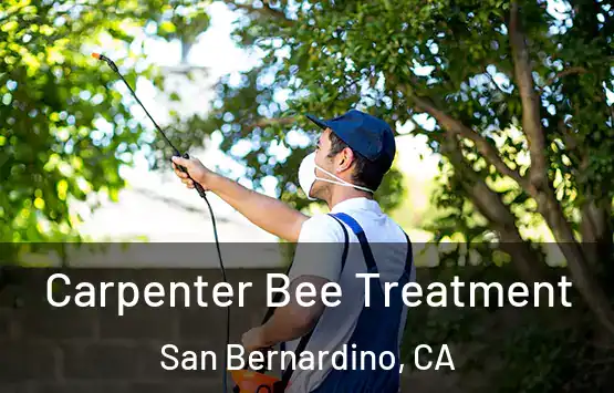  Carpenter Bee Treatment San Bernardino, CA
