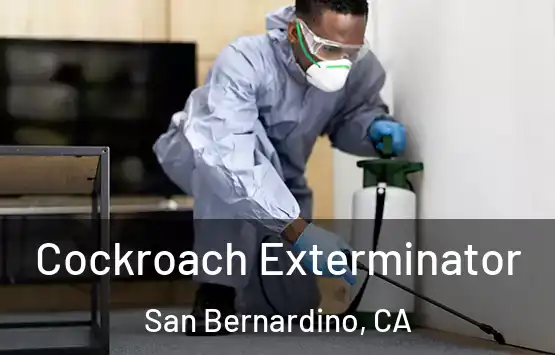  Cockroach Exterminator San Bernardino, CA