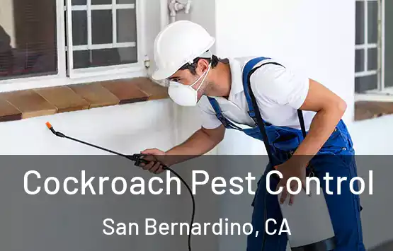  Cockroach Pest Control San Bernardino, CA