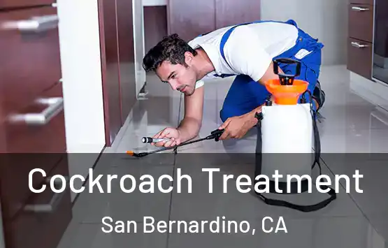  Cockroach Treatment San Bernardino, CA