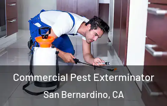  Commercial Pest Exterminator San Bernardino, CA