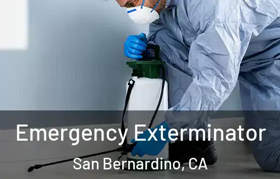  Emergency Exterminator San Bernardino, CA