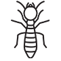 Termites Pest Control San Bernardino, California