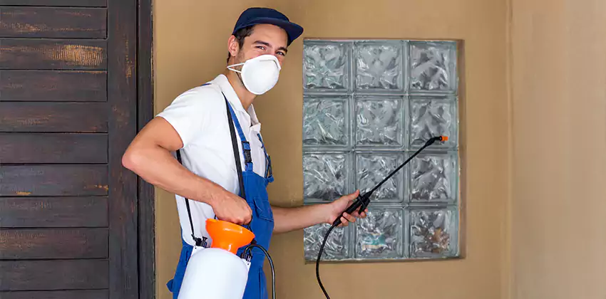 Bee Control for Bedrooms San Bernardino, CA