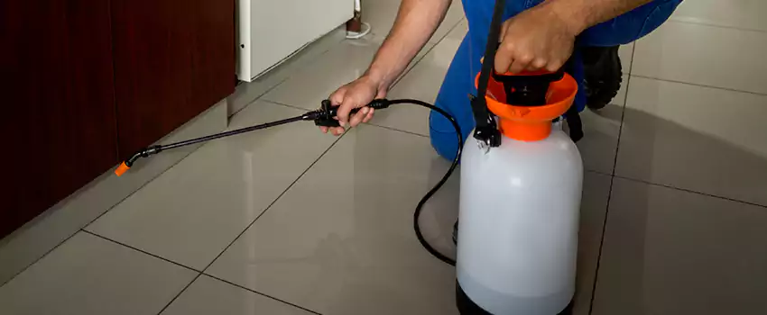 Prevent Future Roach Infestations San Bernardino, CA