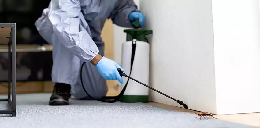 Commercial Pest Control for Offices in San Bernardino, CA