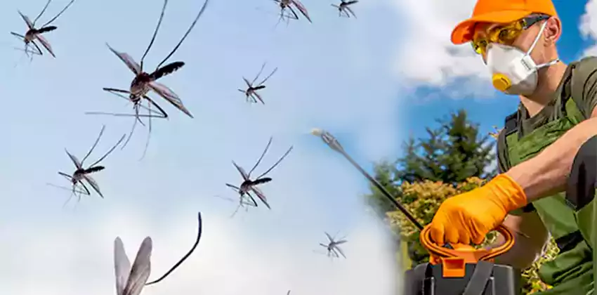 Commercial Mosquito Control Services in San Bernardino, CA