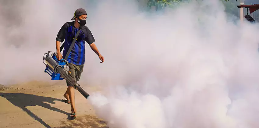 Bedrooms Mosquito Extermination in San Bernardino, CA