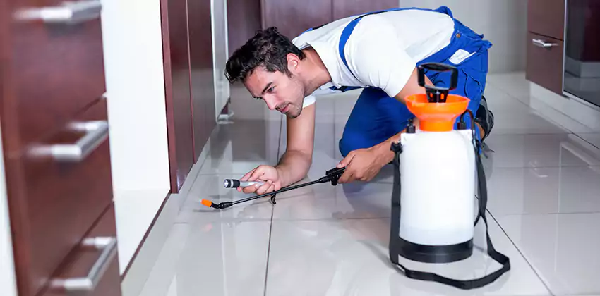 Protect Your Home with Our Pest Inspection Services San Bernardino, CA