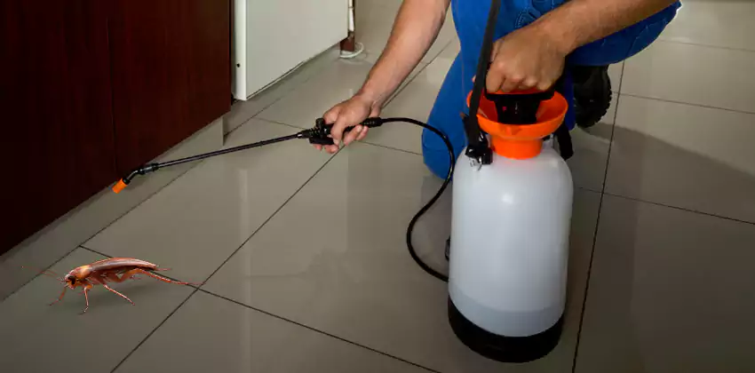 Exclusion and Sanitation Consultation in San Bernardino, CA