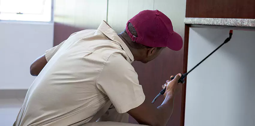 Children and pets extermination of termites San Bernardino, CA