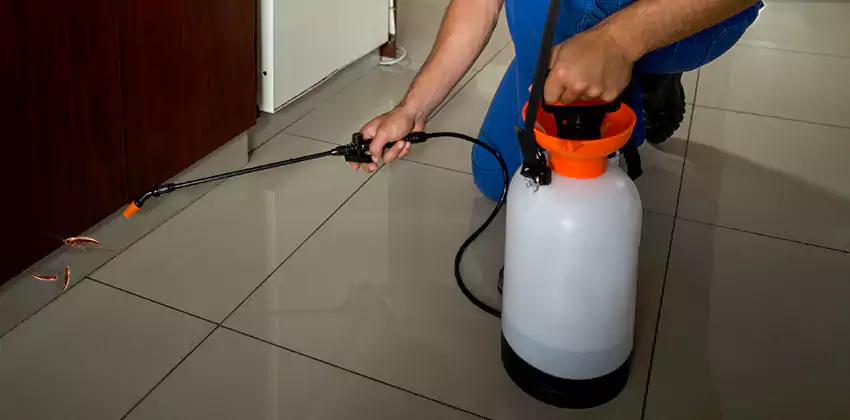 cockroach-treatment in San Bernardino, CA