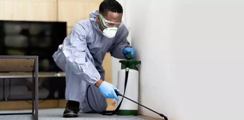 flea-exterminator in San Bernardino, CA