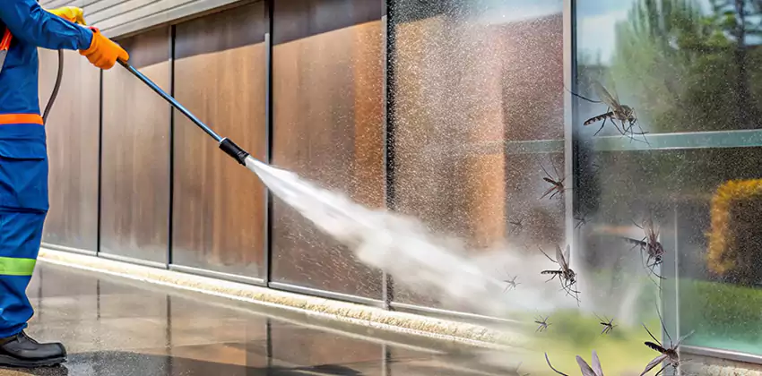 mosquito-control in San Bernardino, CA