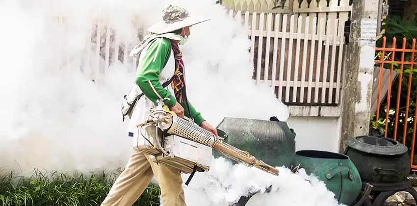 mosquito-exterminator in San Bernardino, CA
