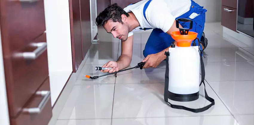 termite-exterminator in San Bernardino, CA