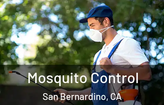  Mosquito Control San Bernardino, CA