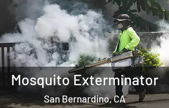  Mosquito Exterminator San Bernardino, CA