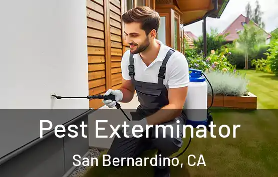  Pest Exterminator San Bernardino, CA