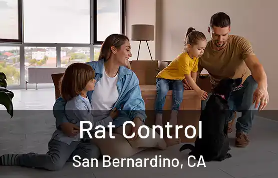  Rat Control San Bernardino, CA