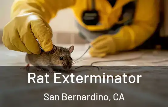  Rat Exterminator San Bernardino, CA