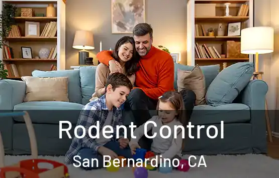  Rodent Control San Bernardino, CA