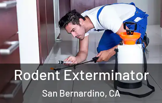  Rodent Exterminator San Bernardino, CA