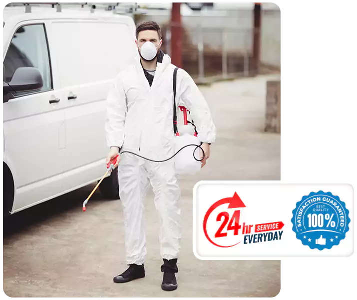 About Carpenter Bee Treatment San Bernardino