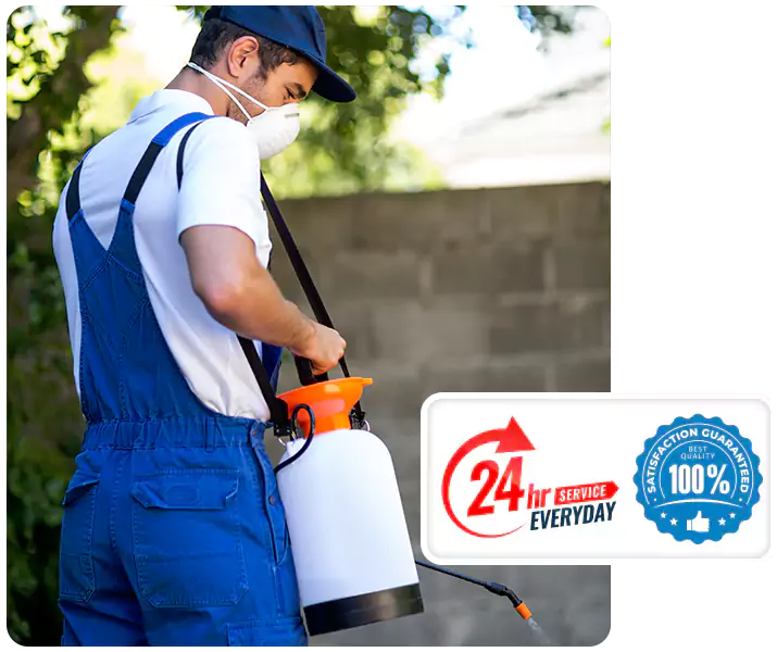 About Emergency Exterminator San Bernardino
