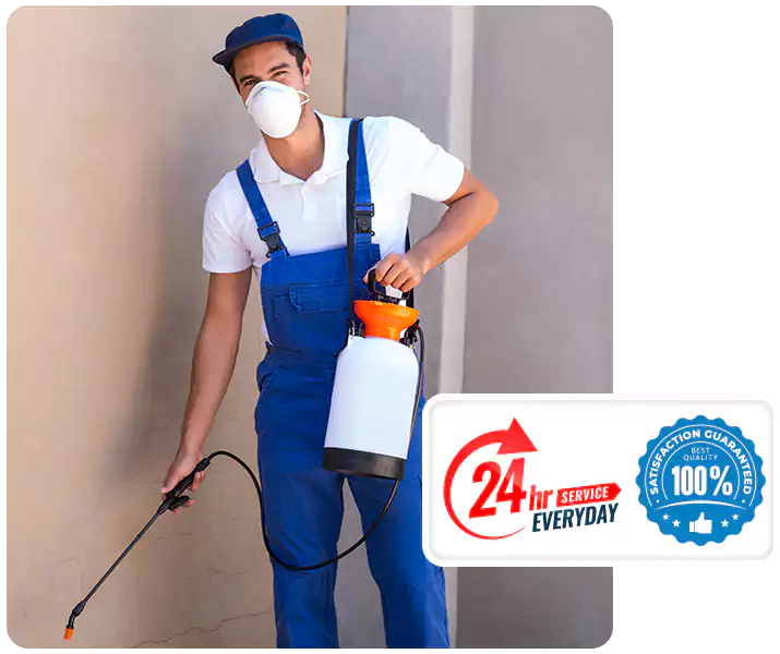 About Flea Exterminator San Bernardino