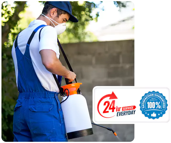 About Pest Exterminator San Bernardino
