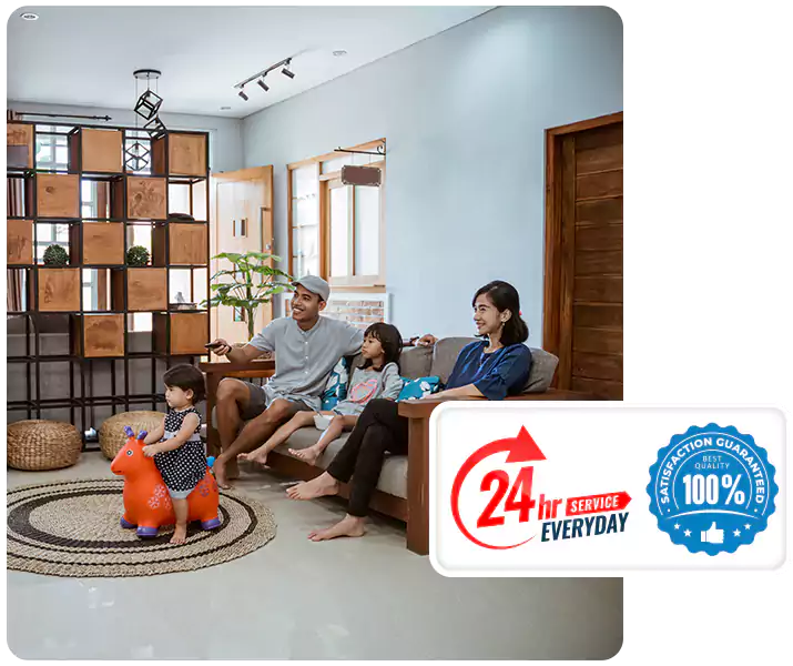 About Spider Pest Control San Bernardino