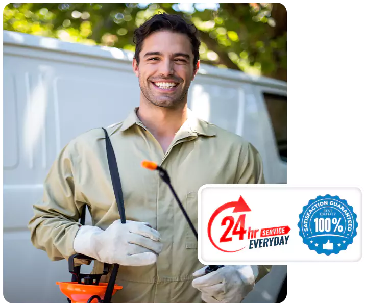About Termite Exterminator San Bernardino