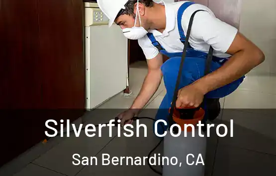  Silverfish Control San Bernardino, CA