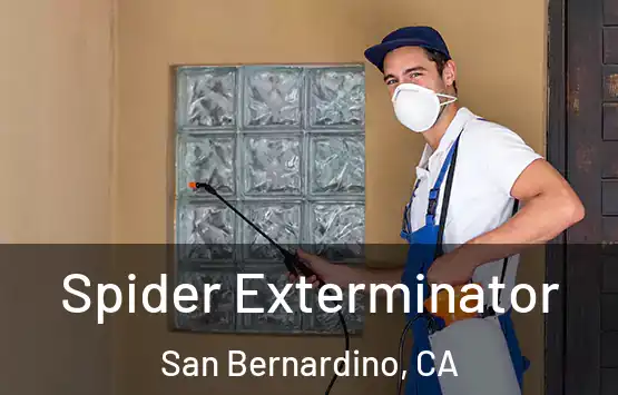  Spider Exterminator San Bernardino, CA