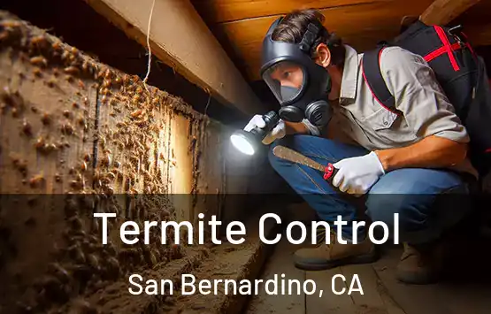  Termite Control San Bernardino, CA