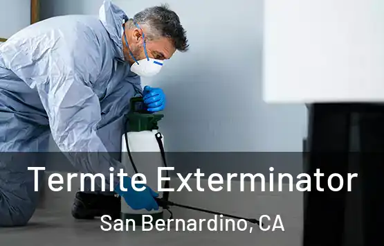  Termite Exterminator San Bernardino, CA