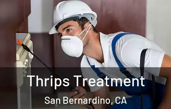  Thrips Treatment San Bernardino, CA