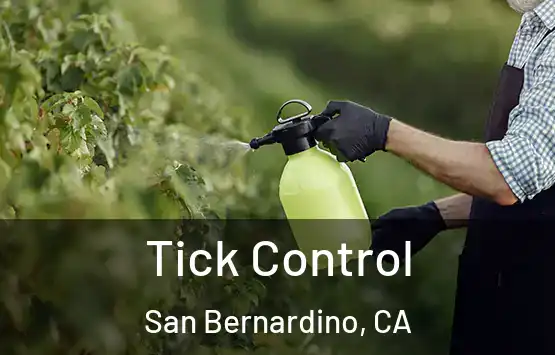  Tick Control San Bernardino, CA