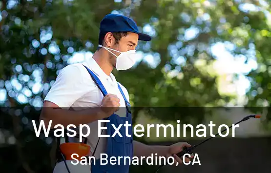  Wasp Exterminator San Bernardino, CA