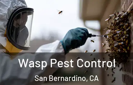  Wasp Pest Control San Bernardino, CA