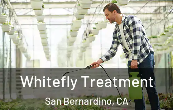  Whitefly Treatment San Bernardino, CA
