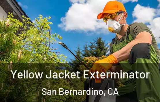  Yellow Jacket Exterminator San Bernardino, CA